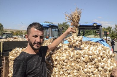 Erzincan, Erzurum Ve Bayburt'ta Sarımsak Zam Şampiyonu