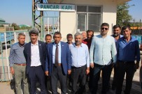 ENFLASYON - Et Üreticilerinden Küspe Fiyatlarına Tepki