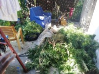 HINT KENEVIRI - Hatay'da Uyuşturucu Operasyonu Açıklaması 1 Gözaltı