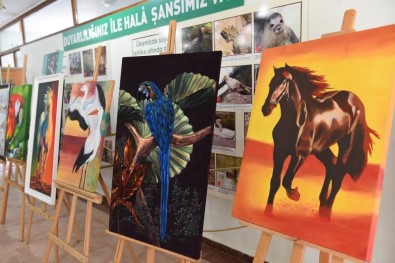 Hayvanat Bahçesi'nde Renkli Kutlama