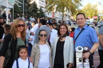 SOKAK HAYVANLARI - Hayvanseverler Sokak Hayvanları İçin Toplandı