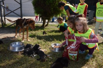 Öğrenciler, Hayvan Dostlarının Yanında