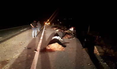 Tuzluca'da Koyun Sürüsüne Otomobil Çarptı