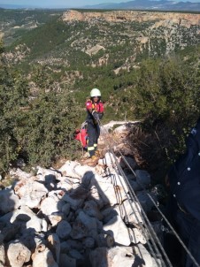 2 Gün Boyunca Dağda Mahsur Kalan Keçi Kurtarıldı
