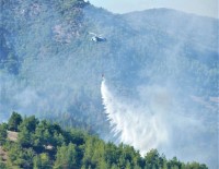 İTFAİYE ARACI - Arsuz'da Orman Yangını