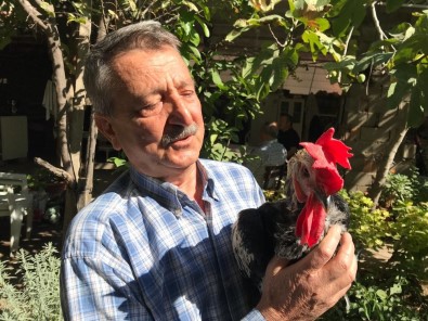 Denizli'de Besiciler İle Vatandaşlar Arasında 'Horoz' Davası