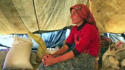 Göçerlerin 'Eve Dönüş' Yolculuğu