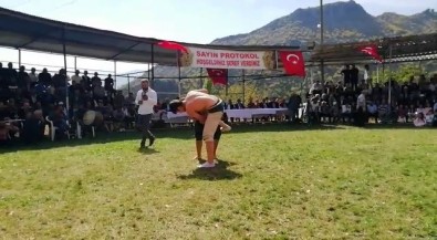 İspir'de Karakucak Güreş Festivali