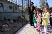 SOKAK HAYVANLARI - Minik Öğrencilerden Sokak Hayvanlarına Mama