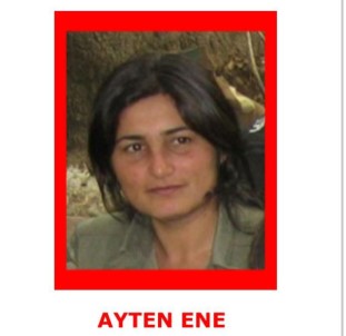 MİT Ve Jandarma'nın Ortak Operasyonunda 2 Terörist Etkisiz Hale Getirildi