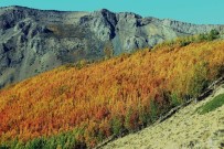 ÖĞRETIM GÖREVLISI - Nemrut Krater Gölü Ve Dağı Eşsiz Manzarası İle Büyülüyor