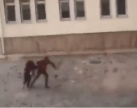 ŞİDDETLİ FIRTINA - Öğrenciler Faciadan Kıl Payı Kurtuldu