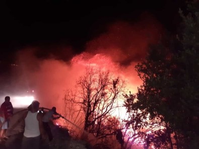 Samandağ'da Otluk Alanda Çıkan Yangın Korkuttu