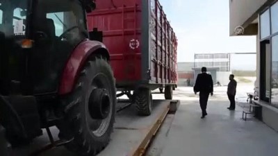 Söke'de Pamuk Hasadı Denetimi