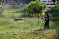 Toroslar'da Park Ve Yeşil Alanlarda Bakım