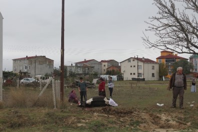 Elektrik Kaçağı Hayvanları Telef Etti