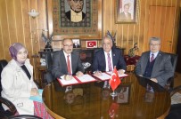 ATATÜRK ÜNIVERSITESI - Erzurum'da Bu Yılda Buzağılar Ölmeyecek