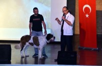 CEMİL MERİÇ - Gemlikli Minikler Hayvanlar İle Buluştu