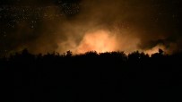 Samandağ'da Zeytinlik Alanda Korkutan Yangın