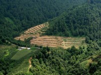 JANDARMA GENEL KOMUTANLIĞI - Bakanlık Çığ Tehlikesine Karşı Güvenli Yürüyüş Bölgeleri Belirledi