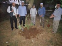 Çınar Müftülüğü'nden Fidan Dikme Etkinliği