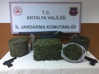 Jandarma Aradığı Uyuşturucuyu Arı Kovanının İçinde Buldu