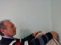 ODABAŞı - Kayserili Berber İş Yerinde Kuşlara Yuva Yaptı