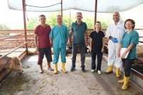 KONYAALTI BELEDİYESİ - Konyaaltı Belediyesinden Çiftçiye Ücretsiz Aşı