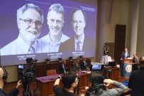 NOBEL - Nobel Tıp Ödülü Sahiplerini Buldu
