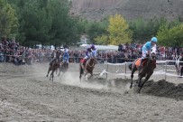 AT YARIŞLARI - Pırlanta Pirinç Festivali'nde At Yarışları Nefesleri Kesti