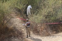 FıRAT ÜNIVERSITESI - Annesi Yaralı Halde Buldu, Hastanede Hayatını Kaybetti