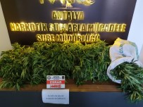 Araçta Uyuşturucu Madde Ele Geçirildi