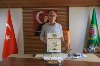 ZEYTİN AĞACI - MİZO Üyelerine Ücretsiz Memecik Zeytin Fidanı Dağıtılacak