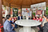 GERİ DÖNÜŞÜM - Okul Bahçesine Okuma Alanı