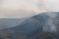 ÜÇTEPE - Sivas'ta Örtü Yangını