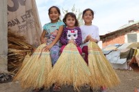 Türkiye'nin El Süpürgeleri Ve Tohumları Samsun'dan