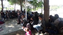 BADEMLI - Çanakkale'de 190 Düzensiz Göçmen Yakalandı