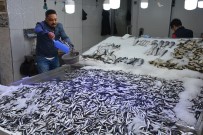 HAMSİ FİYATLARI - Kötü Hava, Balık Fiyatlarını Etkiledi