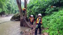 TAYLAND - Tayland'da Şelalede Boğulan 5 Fil Daha Bulundu
