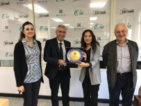 ATATÜRK ÜNIVERSITESI - Atatürk Üniversitesi, Proje Başvurularında En Büyük Bütçe İle Hibe Almaya Hak Kazandı