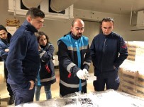 'Boy Yasaklarına Uymayan' 8,5 Ton Balığa El Koydu