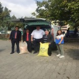 GENETIK - Buğdayın Atası Bursa'da Üretilecek