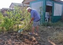 TAZE FASULYE - Hobi Bahçesi Kışa Hazırlanıyor