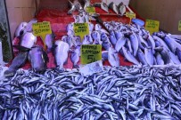 Kilosu 5 Liraya Düşen Hamsi Kapış Kapış