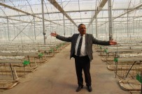 ORGANIK TARıM - Sıcak Su Verilmeyince 38 Milyonluk Yatırım Çürümeye Terk Edildi