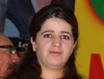 Van Saray Belediye Başkanı gözaltına alındı