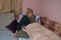 YUNANLıLAR - 106 Yaşındaki Şükriye Nine Atatürk'ü Anlattı