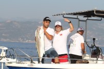 ALP KIRŞAN - Alanya'da En Büyük Balığı Yakalamak İçin Yarıştılar