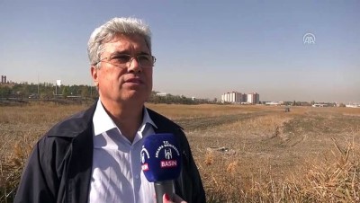 AOÇ Arazisinde Çiftçiler İçin Tohum Üretilecek