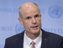 HOLLANDA - Hollanda'dan Türkiye'ye destek